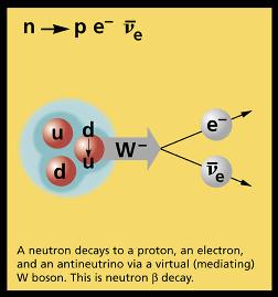 Neutron Decay